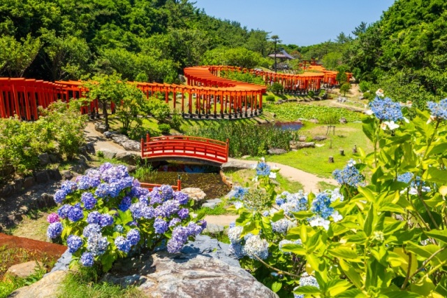 季節ごとに表情を変える「高山稲荷神社」の魅力。紫陽花 ・冬景色 ・八重桜