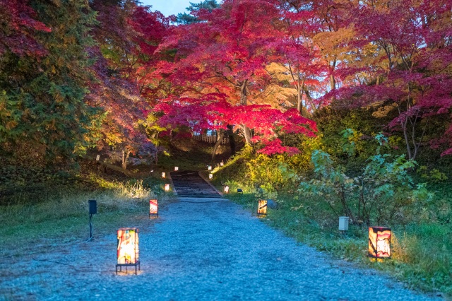 弘前城菊と紅葉まつり