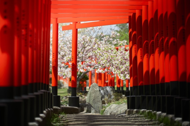 高山稲荷神社