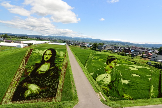 田舎館村田んぼアート