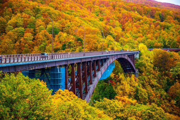 この秋に行きたい！オススメ紅葉狩りスポット「城ヶ倉大橋」「…