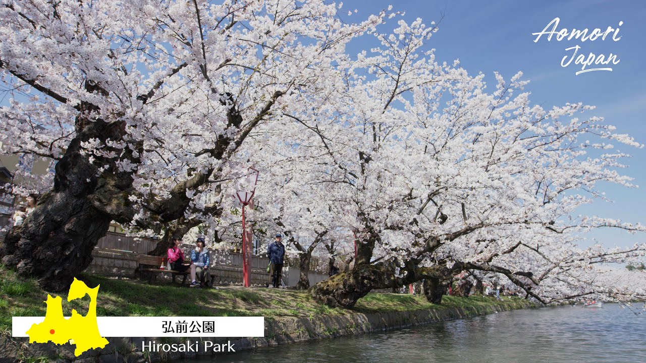 青森 春の魅力 Aomori Japan （貸出可）