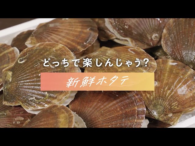 どっちで楽しんじゃう？＃表青森＃裏青森【新鮮ホタテ】