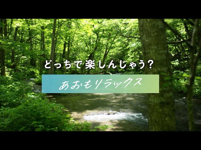 どっちで楽しんじゃう？＃表青森＃裏青森【あおもリラックス】